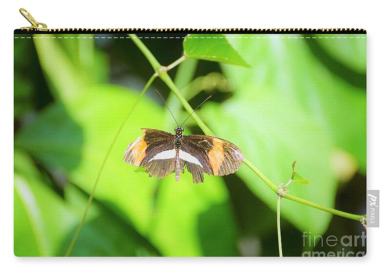 Cleveland Ohio Butterfly Zip Pouch featuring the photograph Battle-worn Survivor by Merle Grenz