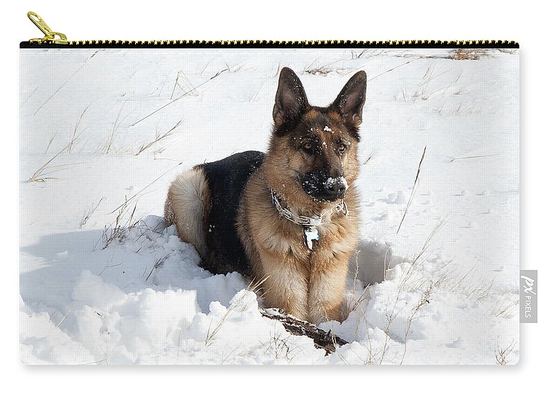 Gloucester Zip Pouch featuring the photograph Be Vewy Vewy Quiet by Greg Fortier