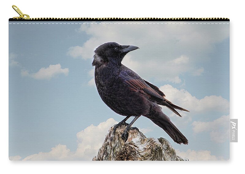 Crow Zip Pouch featuring the photograph Beach Bum Crow by Peggy Collins