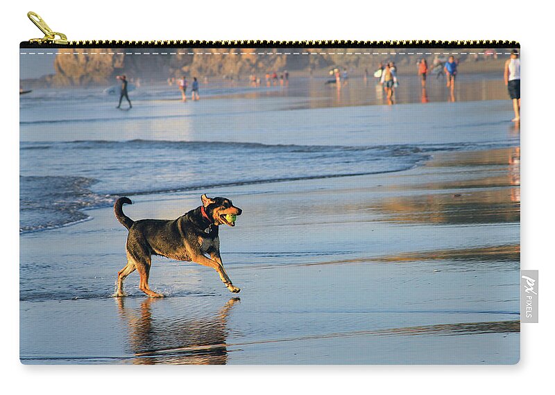 Bonnie Follett Zip Pouch featuring the photograph Beach Dog Playing Fetch by Bonnie Follett