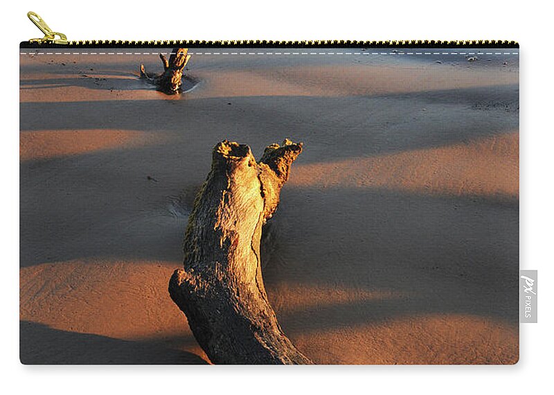 Beach Carry-all Pouch featuring the photograph Beach Driftwood by Ted Keller