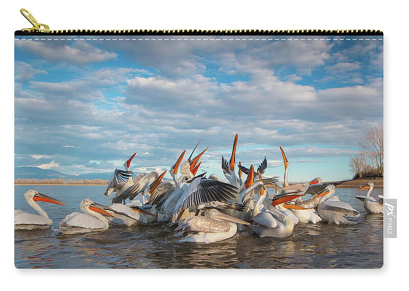 Animal Zip Pouch featuring the photograph Beaks by Jivko Nakev