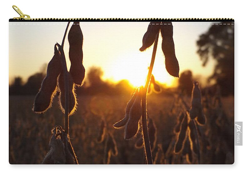 Beans Zip Pouch featuring the photograph Beans at Sunset by Erick Schmidt