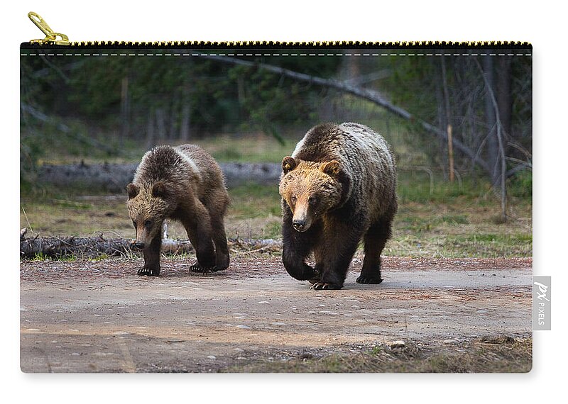 Bear Zip Pouch featuring the photograph Bear Crossing by Carolyn Mickulas
