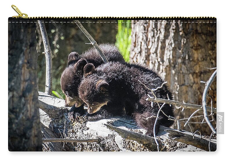 Black Bear Zip Pouch featuring the photograph Bear Cubs by Paul Freidlund