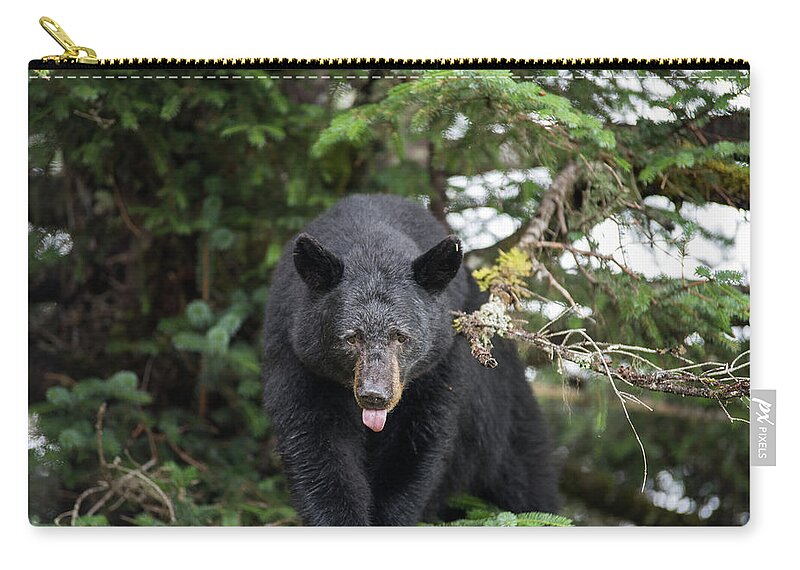 Black Bear Carry-all Pouch featuring the photograph Bear Tongue by David Kirby