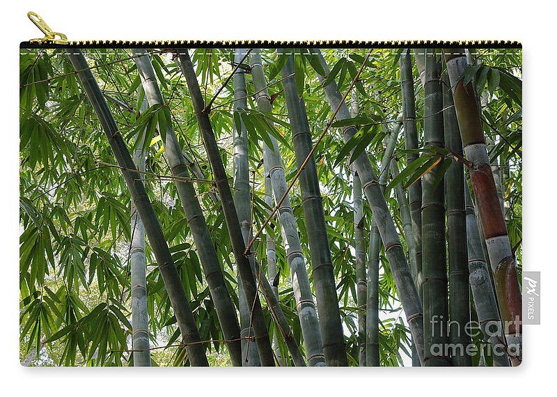 Bamboo Zip Pouch featuring the photograph Beautiful Bamboo by Carol Groenen