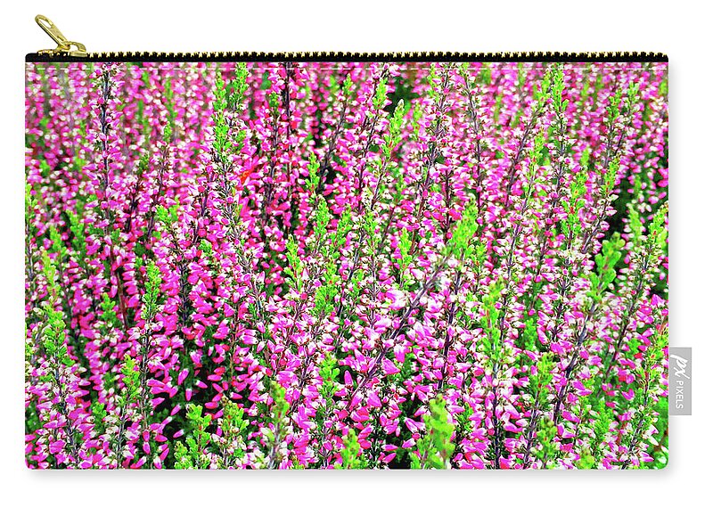 Heather Zip Pouch featuring the photograph Beautiful blooming heather by GoodMood Art