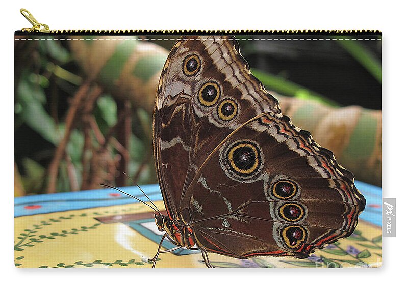 Wall Art Zip Pouch featuring the photograph Beautiful Buckeye Butterfly by Kelly Holm