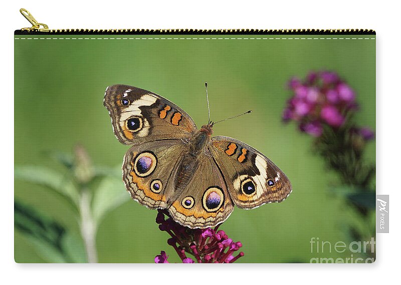 Butterfly Zip Pouch featuring the photograph Beautiful Buckeye Butterfly by Robert E Alter Reflections of Infinity