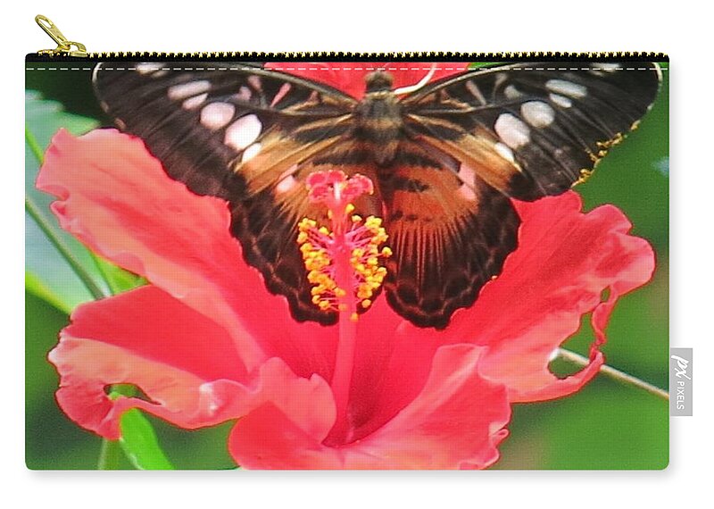 Butterfly Zip Pouch featuring the photograph Beautiful Butterfly by Betty Buller Whitehead