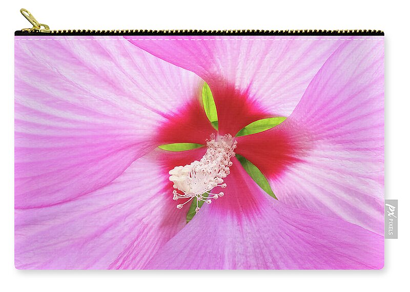 Flower Zip Pouch featuring the photograph Beautiful delicate pink hibiscus flower by GoodMood Art