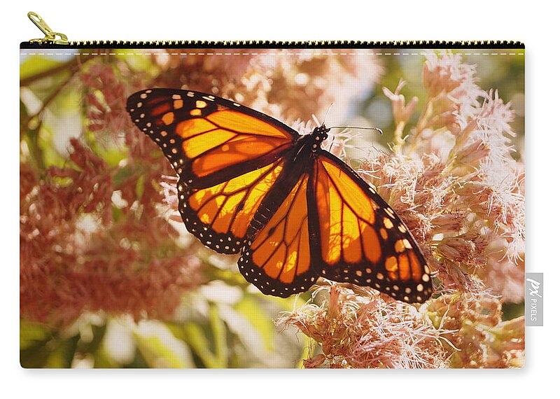 Butterfly Zip Pouch featuring the photograph Beautiful Monarch by Beth Collins