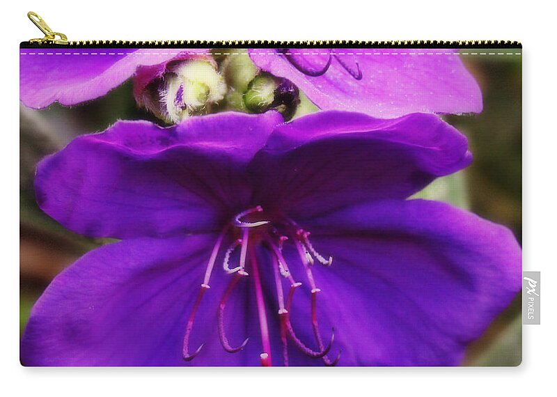 Beautiful Purple Passion Zip Pouch featuring the photograph Beautiful Purple Passion by Kathy M Krause