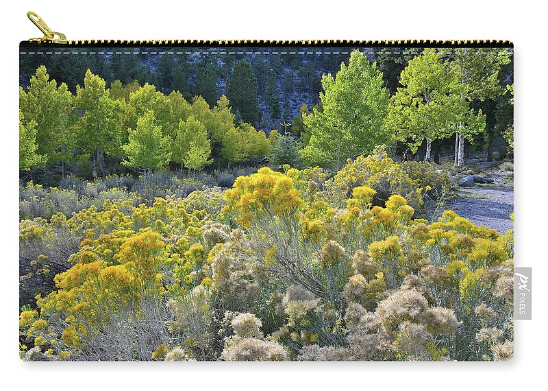 Humboldt-toiyabe National Forest Zip Pouch featuring the photograph Beautiful Rabbitbrush in Mt. Charleston Basin by Ray Mathis