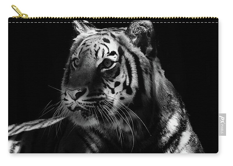 Tiger Zip Pouch featuring the photograph Beautiful Tiger BW by Debra Forand