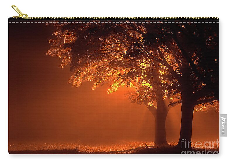 Night Zip Pouch featuring the photograph Beautiful trees at night with orange light by Simon Bratt