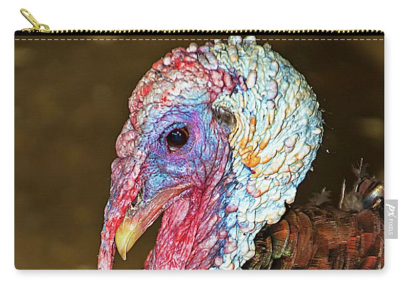 Turkey Zip Pouch featuring the photograph Beautifully Ugly Turkey by Bob Slitzan