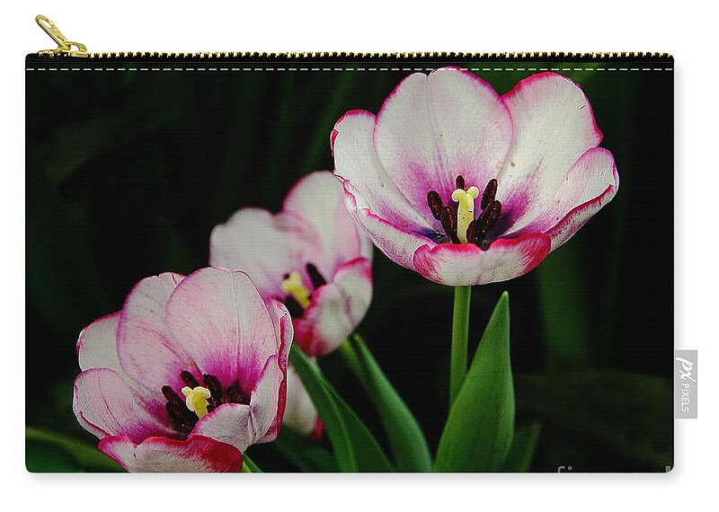 Flowers Zip Pouch featuring the photograph Beauty Abounds by Allen Nice-Webb
