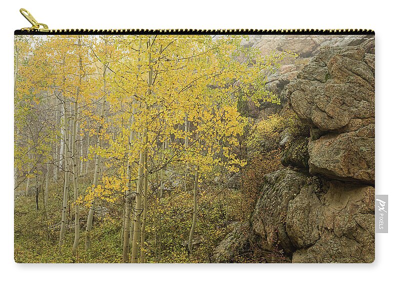 Aspen Zip Pouch featuring the photograph Beauty and the Beast by James BO Insogna