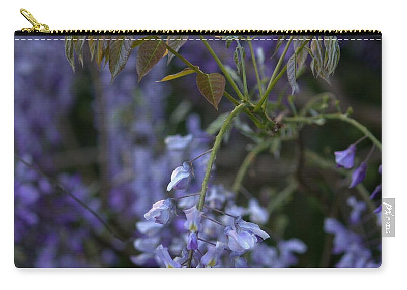 Purple Zip Pouch featuring the photograph Beauty In Purple by Jeanette C Landstrom