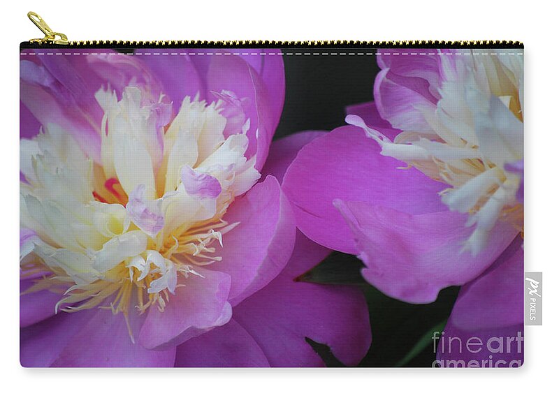 Peony Zip Pouch featuring the photograph Beauty is what we do by Lori Tambakis