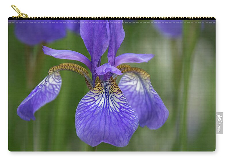 Beauty Of An Iris Zip Pouch featuring the photograph Beauty of an Iris by Debra Martz