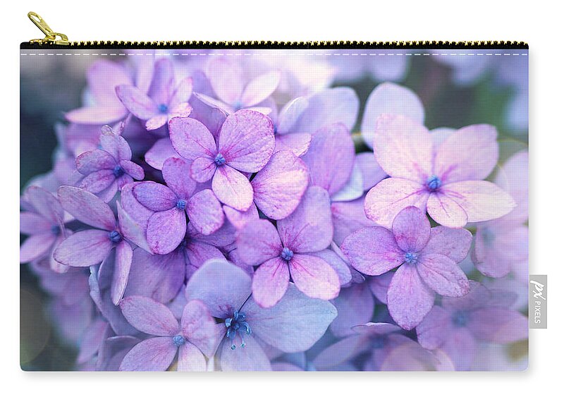 Beautiful Zip Pouch featuring the photograph Beauty of hydrangea by Lilia S