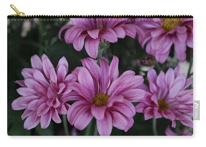 Flower Zip Pouch featuring the photograph Beauty of Pink by Brenda Mardinly