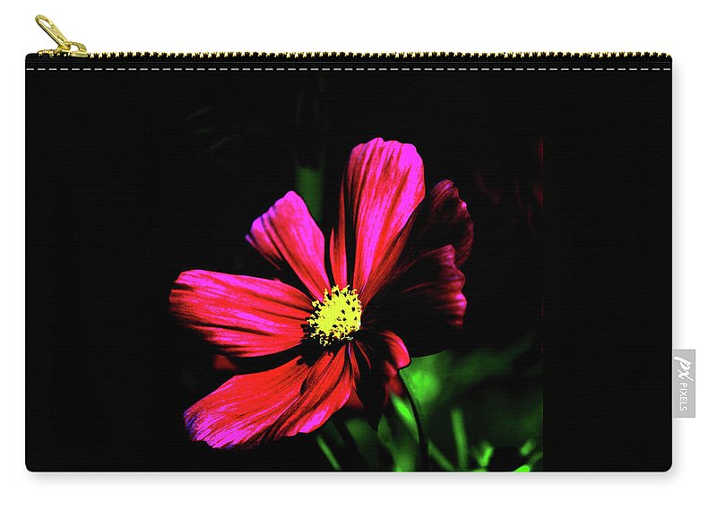 Nature Zip Pouch featuring the photograph Beauty by Tom Prendergast