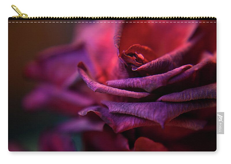 Red Zip Pouch featuring the photograph Beauty's Rose by Theresa Tahara