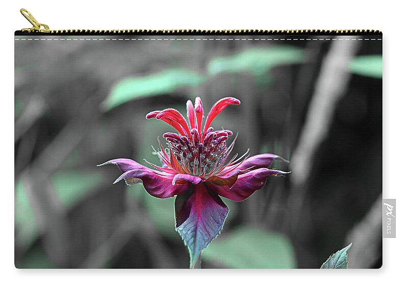 Nature Zip Pouch featuring the photograph Bee Balm Abstract by David Stasiak