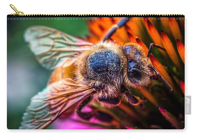 Bee On The Flower Zip Pouch featuring the photograph Bee close up by Lilia S