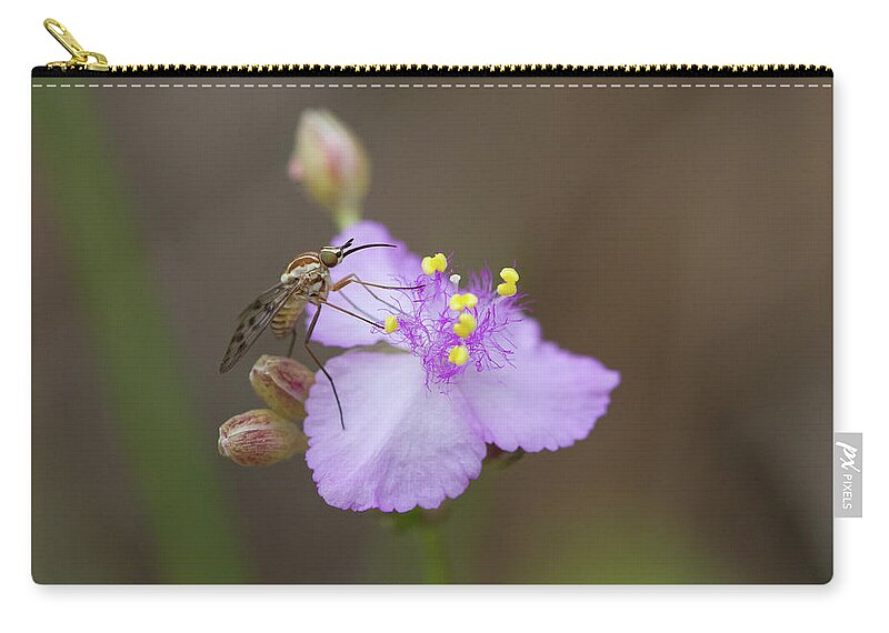 Poecilognathus Bee Fly Zip Pouch featuring the photograph Bee Fly on Roseling by Paul Rebmann