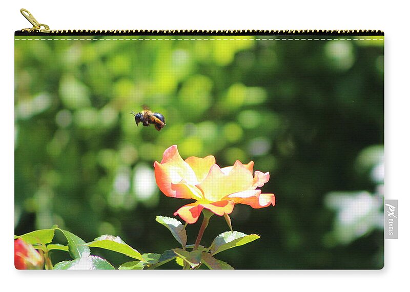 Honey Bee Zip Pouch featuring the photograph Bee Flying from Peach Petal Rose by Colleen Cornelius