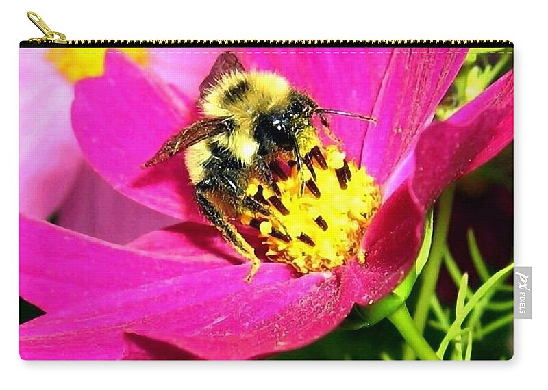 Bee Zip Pouch featuring the photograph Bee-Line 3 by Will Borden