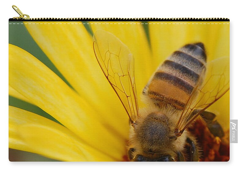 Bee Carry-all Pouch featuring the photograph Bee on flower by Amy Fose