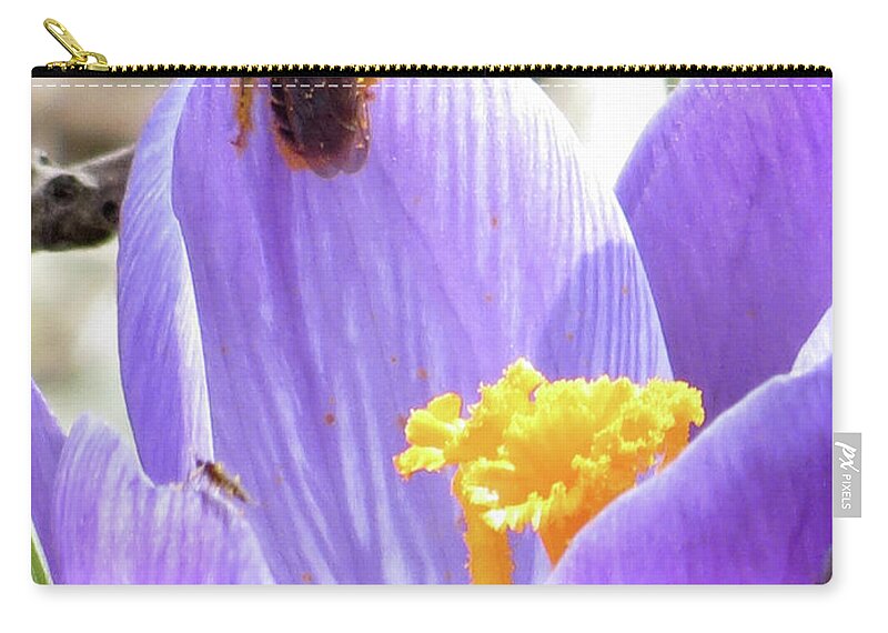 Bee Carry-all Pouch featuring the photograph Bee Pollen by Azthet Photography