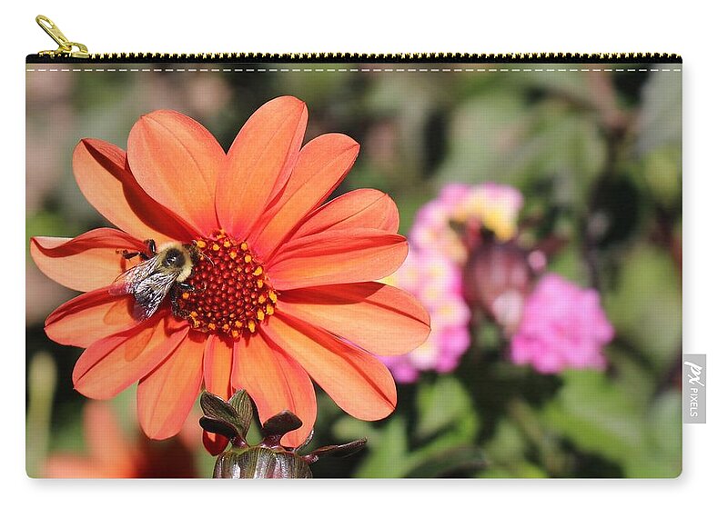 Bee Zip Pouch featuring the photograph Bees-y Day by Jason Nicholas