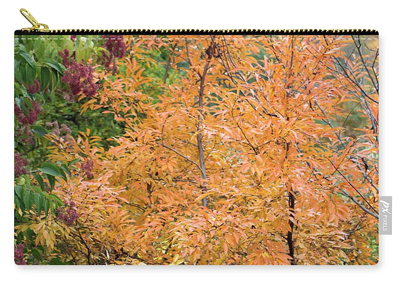 Flower Zip Pouch featuring the photograph Before the Fall by Deborah Crew-Johnson