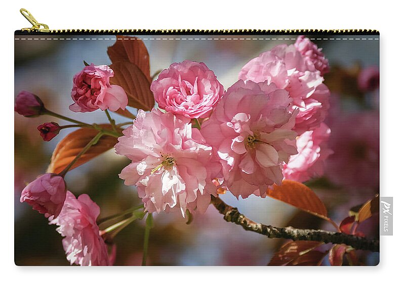 Pink Flowering Cherry Zip Pouch featuring the photograph Being Pink - by Julie Weber