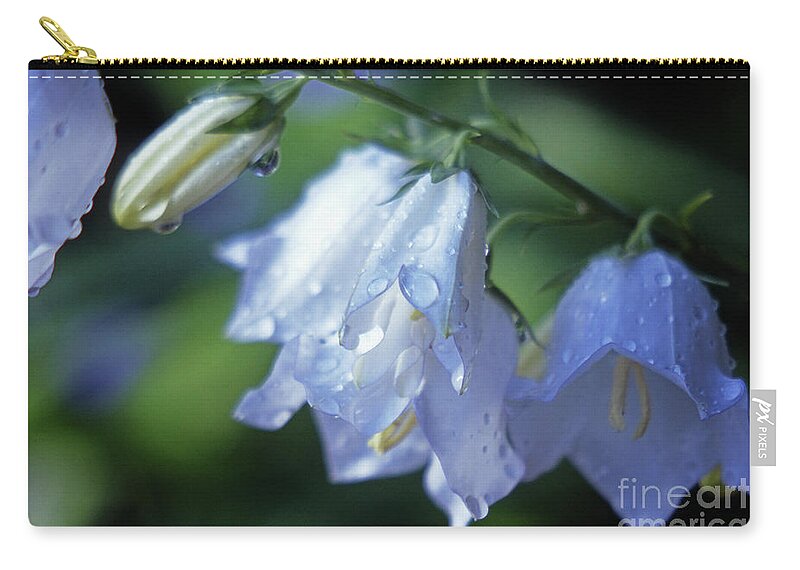 Flora Zip Pouch featuring the photograph Bell Flowers by Jill Greenaway