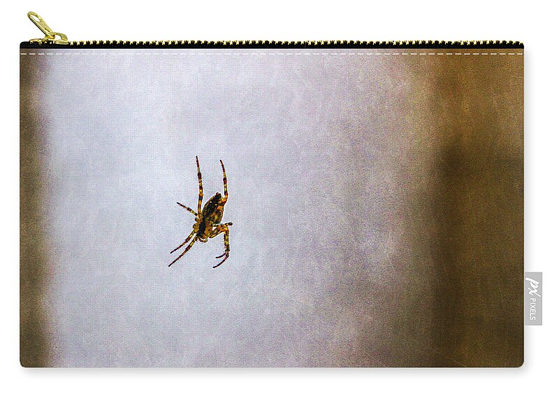 Bonnie Follett Zip Pouch featuring the photograph Belly of the spider by Bonnie Follett