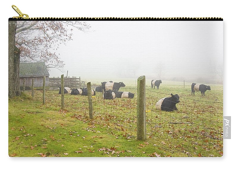 Cow Zip Pouch featuring the photograph Belted Galloway Cows Farm Rockport Maine Photograph by Keith Webber Jr