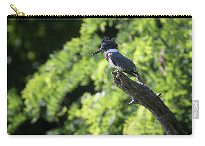 Gary Hall Zip Pouch featuring the photograph Belted Kingfisher by Gary Hall