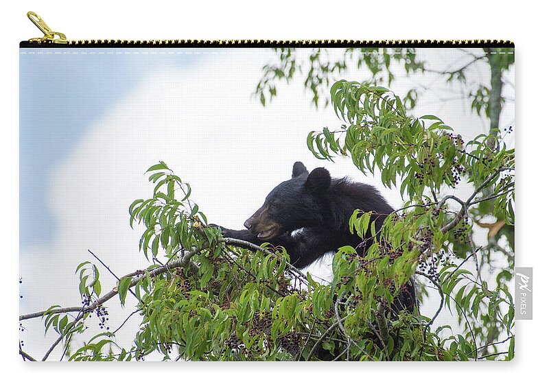Animal Zip Pouch featuring the photograph Berry Good Tree by Gary Wightman