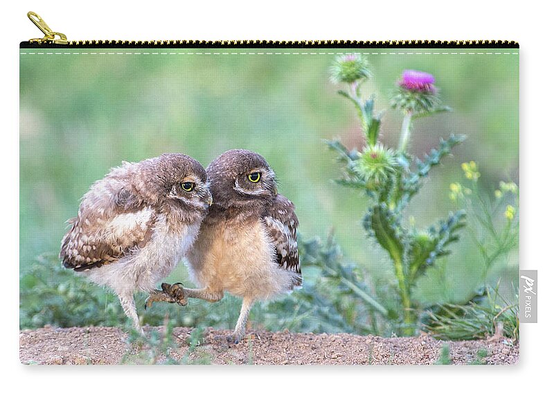 Burrowing Owl Zip Pouch featuring the photograph Best Buddies by Judi Dressler