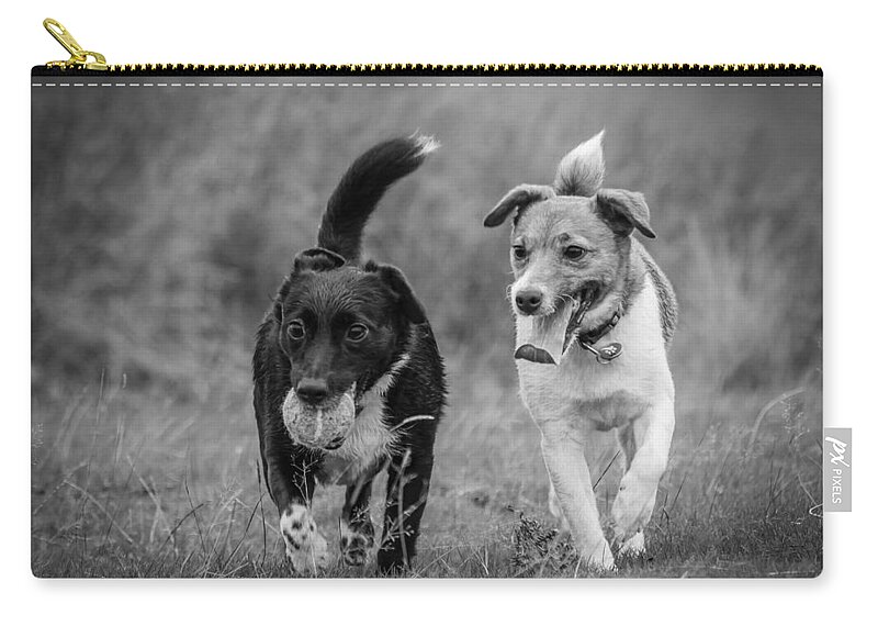 Dog Zip Pouch featuring the photograph Best Buddies by Nick Bywater