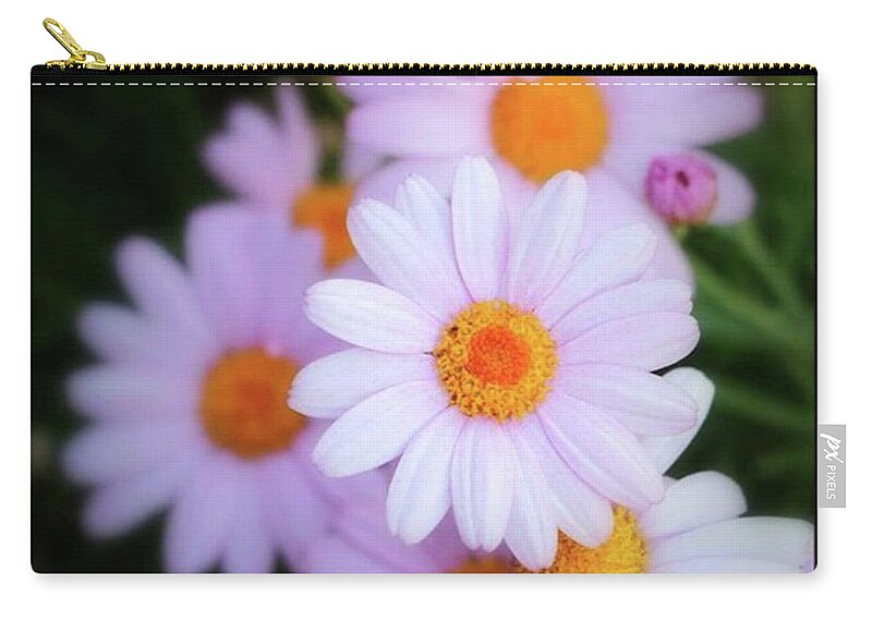  Zip Pouch featuring the photograph Best Wishes In This Time Of Loss by Mr Photojimsf