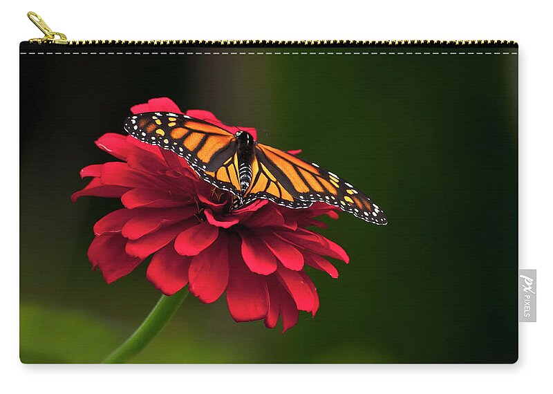 Butterfly Carry-all Pouch featuring the photograph BFF by Jeff Cooper